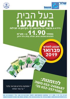 מבצע פברואר נייר צבעוני 