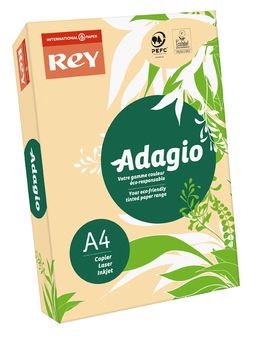 Adagio salmon